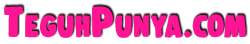 TEGUHPUNYA.COM